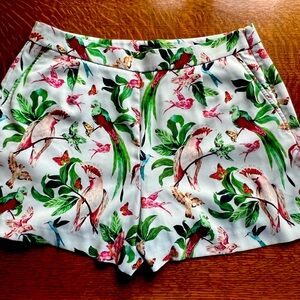 Ann Taylor Cockatoo Dress Shorts Like New size 12